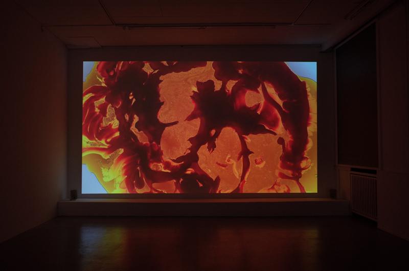 Ani Schulze, Flint House Lizard, installation view basis, photo: Inga Danysz