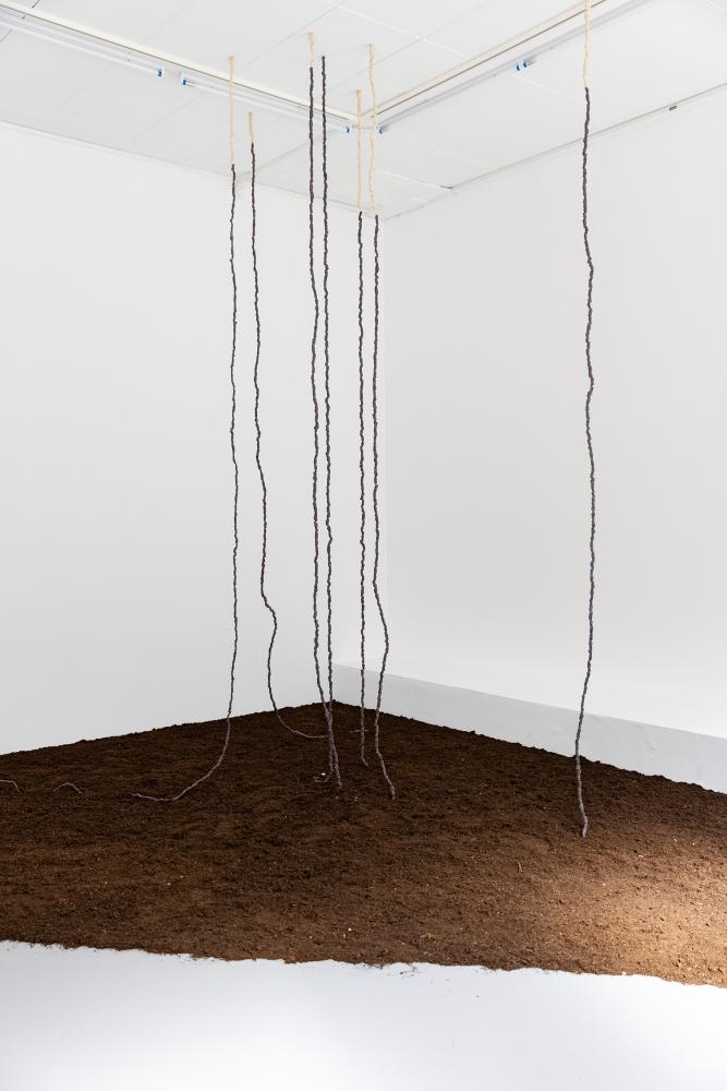 Ava Binta Giallo, Ohne Titel, 2024, gebrannte Tonelemente, Erde, Schneckenhaus © basis e.V., photo: Angelika Zinzow