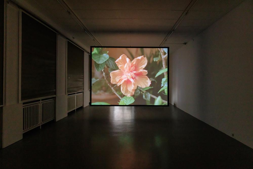 Miryam Charles - Atlas for the Disappeared, Ausstellungsansicht, Foto: Bernd Euring, 2025 © basis e.V.